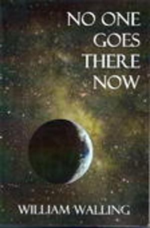 Cover of the book No One Goes There Now by Lori Svensen