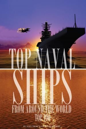 bigCover of the book Top Naval Ships from Around the World by 