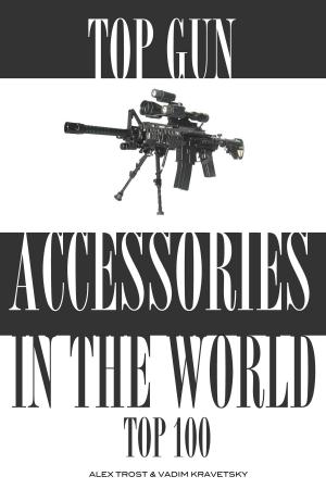 Cover of the book Top 100 Gun Accessories in the World by alex trostanetskiy