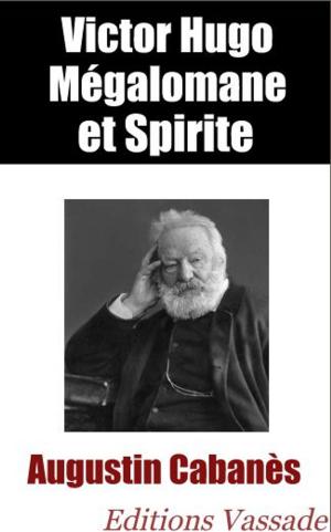 Cover of the book Victor Hugo mégalomane et spirite by Godefroy de Blonay, Louis de la Vallée-Poussin