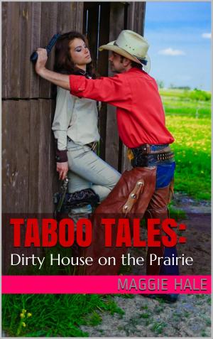 Book cover of Dirty House on the Prairie