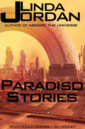 Cover of the book Paradiso Stories by Ken Liu, Annie Bellet, David Steffen