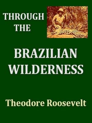 Cover of the book Through the Brazilian Wilderness by Daniel G. Brinton
