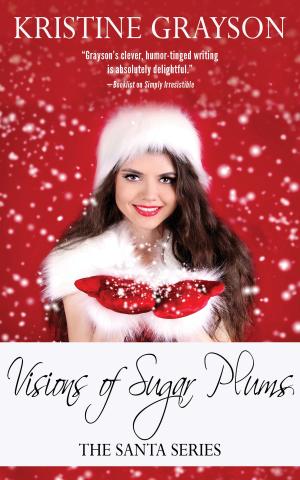 Cover of the book Visions of Sugar Plums by Tracy Lynn Delong