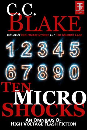 Cover of the book Ten Micro Shocks by Kaysee Renee Robichaud