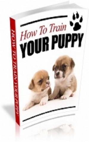 Cover of the book How To Train Your Puppy by Jimmy  Cai