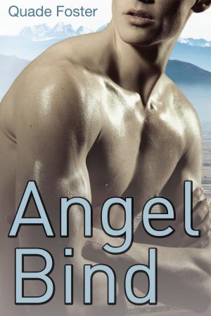 Cover of the book Angel Bind by Christa Yelich-Koth