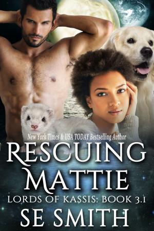 Cover of the book Rescuing Mattie: Lords of Kassis Book 3.1 by Jill James