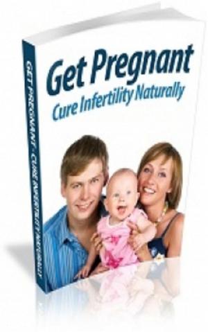 bigCover of the book How To Get Pregnant by 