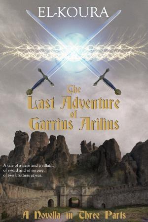 Book cover of The Last Adventure of Garrius Arilius