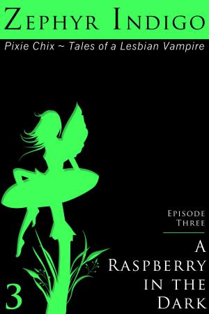 Cover of the book A Raspberry in the Dark by Ellie Wolf