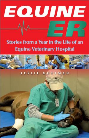Cover of the book Equine ER by Kristen Otte