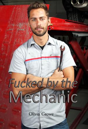 Book cover of Fucked by the Mechanic