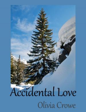 Cover of the book Accidental Love by L.A. Fiore