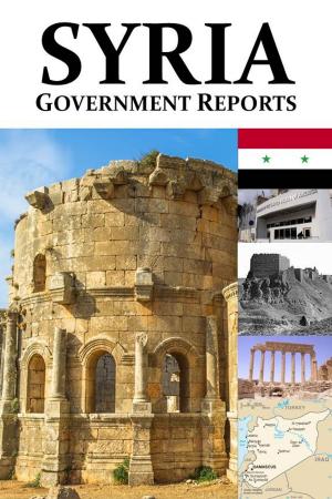 Cover of the book Syria: Government Reports by Holly Sinclair