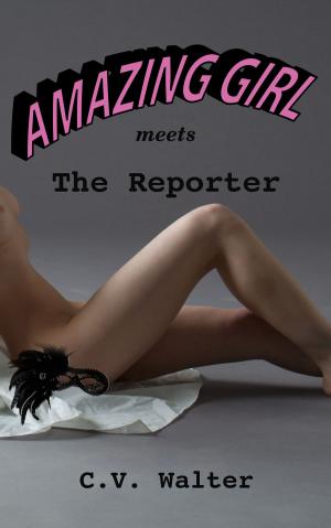 Cover of the book Amazing Girl meets The Reporter by Rich Ryder
