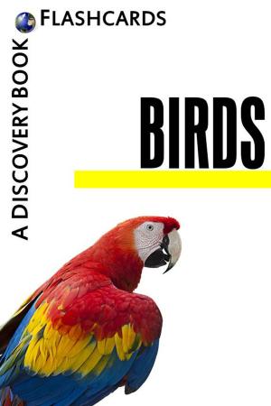 Book cover of Birds: A Discovery Book (Flashcards)