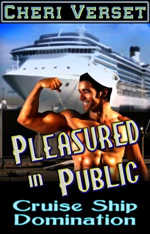 Book cover of Pleasured in Public