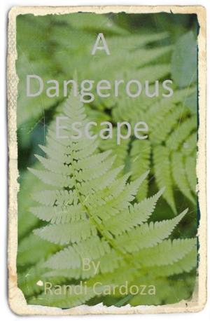 Cover of the book A Dangerous Escape by Bria Quinlan, Heidi Hutchinson