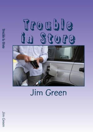bigCover of the book Trouble in Store by 