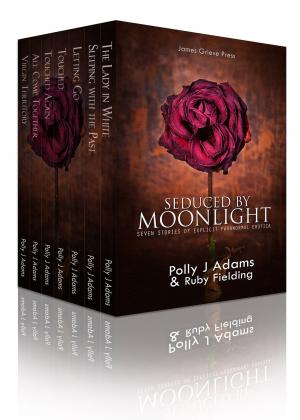 Cover of the book Seduced by Moonlight by Veronica Lust