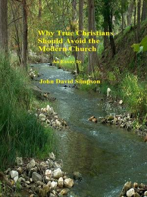 Book cover of Why True Christians Should Avoid The Modern Church