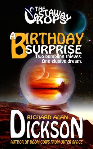 Book cover of A Birthday Surprise