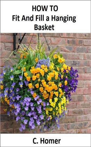 Book cover of How to fit and fill a hanging basket