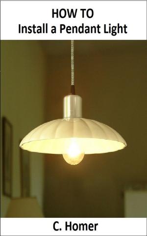 Book cover of How to install a pendant light