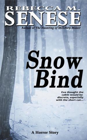 Cover of the book Snow Bind: A Horror Story by CG Powell