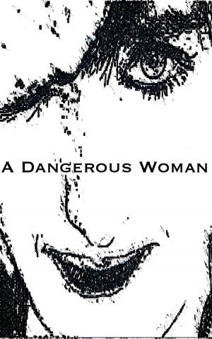 Cover of the book A Dangerous Woman by M. Chris Benner