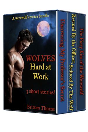 Cover of the book Werewolf Erotica Bundle - Wolves Hard At Work (3 stories!) by Lola Taylor