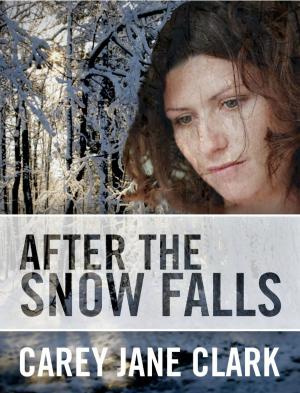 Cover of the book After the Snow Falls by Avraham Azrieli