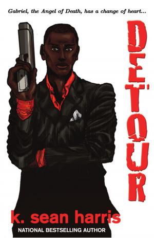 Cover of the book Detour by Malia Mallory