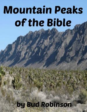 Cover of the book Mountain Peaks of the Bible by James Aitken Wylie