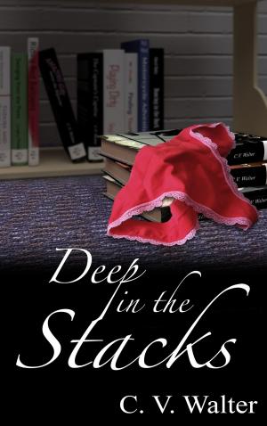 Book cover of Deep in the Stacks