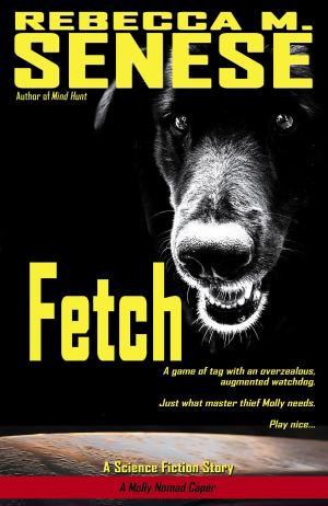 Cover of the book Fetch: A Science Fiction Story by Dave Ferraro