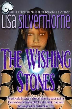 bigCover of the book The Wishing Stones by 