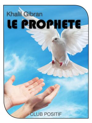 Cover of the book Le Prophète by Stéphanie Barrat, Michèle Médée-Bertmark