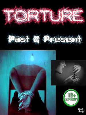 Book cover of Torture Past & Present