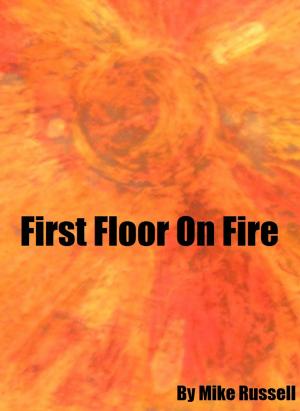 Cover of the book First Floor on Fire by Pablo Vilaboy