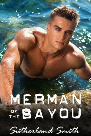 Cover of the book Merman of the Bayou by P. R. Garcia