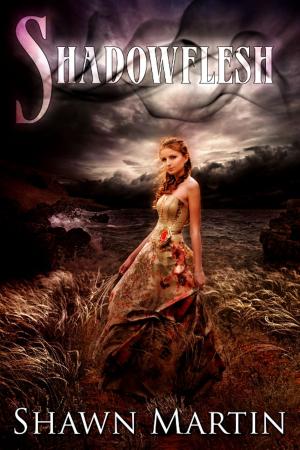 Cover of the book Shadowflesh by Nolan Carlson