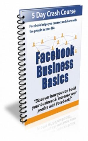 Book cover of Facebook Business Basics