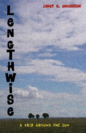 Book cover of Lengthwise