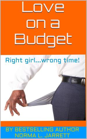Cover of the book Love on a Budget by Graham Downs