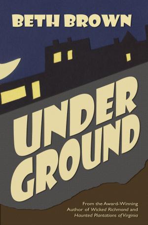 Cover of the book Underground by Aenghus Chisholme
