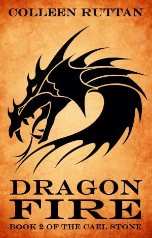 Cover of the book Dragon Fire by Stina Leicht