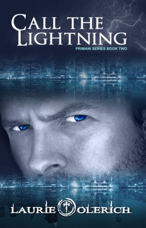 Cover of the book Call the Lightning by Adam Alexander Haviaras