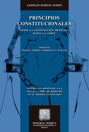 Cover of the book Principios constitucionales: Desde la Constitución mexicana hasta la Corte by Alejandra Flores Martínez, María Elósegui Itxaso, Enrique Uribe Arzate
